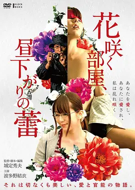 山野来信文艺片高清在线观看